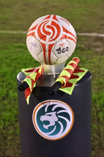Il pallone con il leone